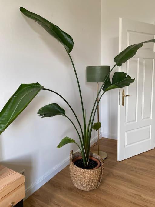 2-Zimmer Zentral In Ferdinandshof, Wlan Modern Zewnętrze zdjęcie